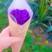 گل برای روز دانش آموز|گل مصنوعی|جاسک, |دیوار