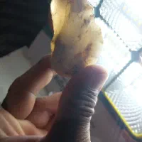 سنگ برش نخورده مخصوص نگین وگردنبند