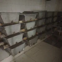 نیرو نبات|استخدام خدمات فروشگاه و رستوران|مشهد, کوی راد|دیوار