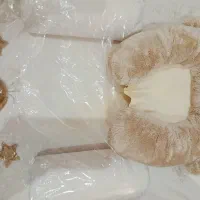 تشک طبی ضد ریفلاکس نوزاد|تشک تختخواب|اهواز, زردشت|دیوار