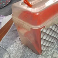 ظروف پلاستیکی پیک نیک