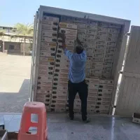 حمل بار و جابه جای اثاث منزل به تمام نقاط|خدمات حمل و نقل|بم, |دیوار