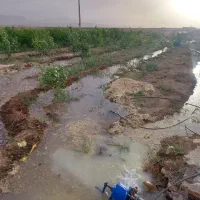 فروش-باغ-و-باغچه-253-متری-نقد-و-اقساط-با-چک