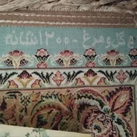 دوتخته فرش ۹متری|فرش|قم, شهرک امام حسن|دیوار