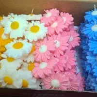 شمع|صنایع دستی و سایر لوازم تزئینی|شیراز, کوشک میدان|دیوار