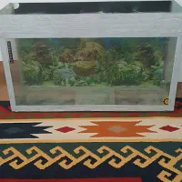 آکواریوم و پایه فرفژه