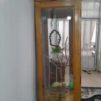 مینی بوفه قفس پرنده