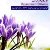 کارت سوخت گمشده