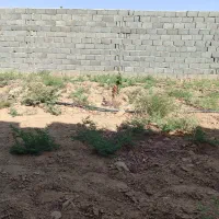 باغ سیدآبادو ۴۱۰ متر|فروش خانه و ویلا|امیرآباد, |دیوار