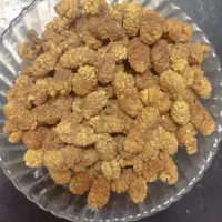 توت خشک