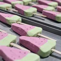 بازاریابی بستنی خشک