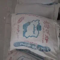 گچ سفید کاری