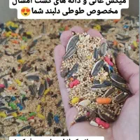 دنیای پرنده قیمت عمده|پرنده|کرمانشاه, |دیوار