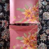 ست شیرینی خوری و میوه خوری  نو همراه با کارتن
