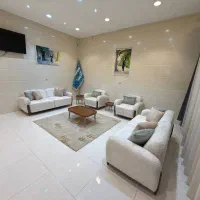 مینی مال پاندا