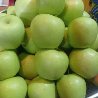 پک پذیرایی ترحیم صبحانه نذورات دفاعیه لوکس اقتصادی|خوردنی و آشامیدنی|تهران, میدان میوه و تره‌بار مرکزی|دیوار