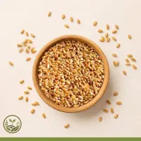 بذر گندم سارنگ مادره بوجاری و کیسه شده
