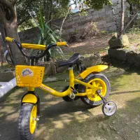 دوچرخه سایز۱۲