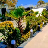 خدمات باغبانی باغچه کاری گل کاری تعویض خاک گلدان