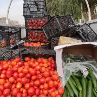 گوجه قیمت خرید|حراج|ساوه, |دیوار