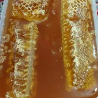 عسل طبیعی و خالص