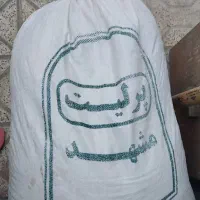 پرلیت مشهد