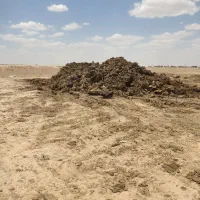 خاک گاو