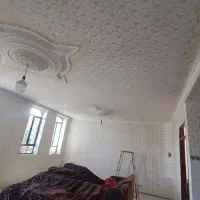 رنگ کاری و طرح کاغذدیو|خدمات پیشه و مهارت|پلدشت, |دیوار