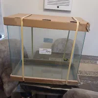 آکواریوم شیشه خم شرکتی