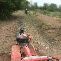 خدمات فضاسبز اسبارباتیلر۱۲ باغبانی ودرخت