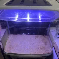 شیشه آکواریوم خانگی لوکس