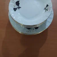 بشقاب پلوخوری وخورشت خوری چینی زرین گل نیلوفرمشکی|ظروف سرو و پذیرایی|تالش, هشتپر|دیوار