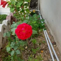 فروش-خانه-ویلایی