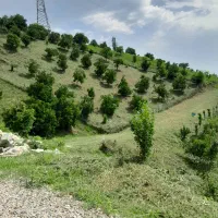 علف تراشی با قیمت مناسب