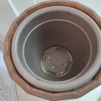 گلدان چوبی|گل و گیاه طبیعی|مشهد, شهرک مهر آباد|دیوار