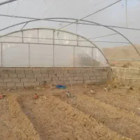 سازه گلخانه 1100 متر|مصالح و تجهیزات ساختمان|دزفول, |دیوار