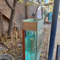 آکواریوم با شیشه ده میل قسمت جلو هلالی