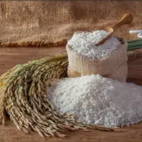 برنج هاشمی مازندران