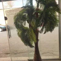 گل و گلدون نخل مصنوعیی