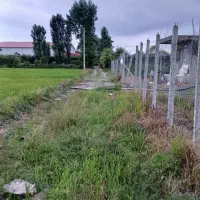زمین کشاورزی