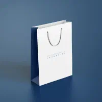 گرافیست(حرفه ای و اماتور)