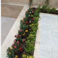 خدمات باغبانی و سمپاشی با ضمانت و فاکتور|خدمات باغبانی و درختکاری|تهران, ونک|دیوار