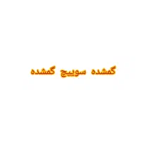 سوییچ گمشده