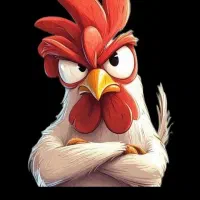 توضیع مرغ کشتارروز به قیمت درب کشتارگاه