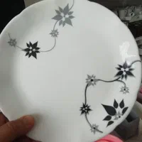 حراج چینی و آرکوپال