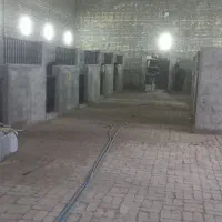 سوله جهت پرورش و نگهداری و پانسیون اسب