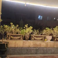 رهن واجاره ۴خواب|اجارهٔ آپارتمان|شیراز, شهرک گلدشت حافظ‎|دیوار