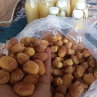 ترشیجات