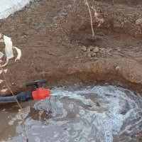 فروش ویژه زمین باغ نقدواقساط با 60میلیون پیش|فروش زمین و ملک کلنگی|شاهین‌شهر, گرگاب|دیوار