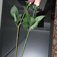 گل بدون گلدون|گل مصنوعی|تهران, منیریه|دیوار